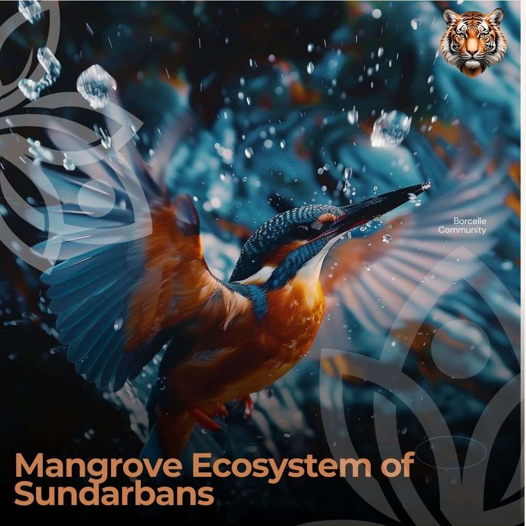 Mangrove Ecosystem of Sundarbans