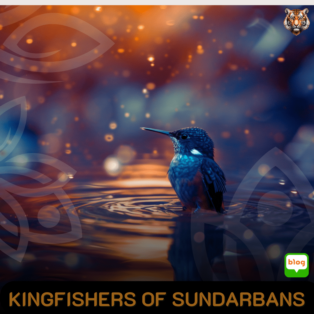 Kingfishers of Sundarbans: A Bird Lover’s Paradise